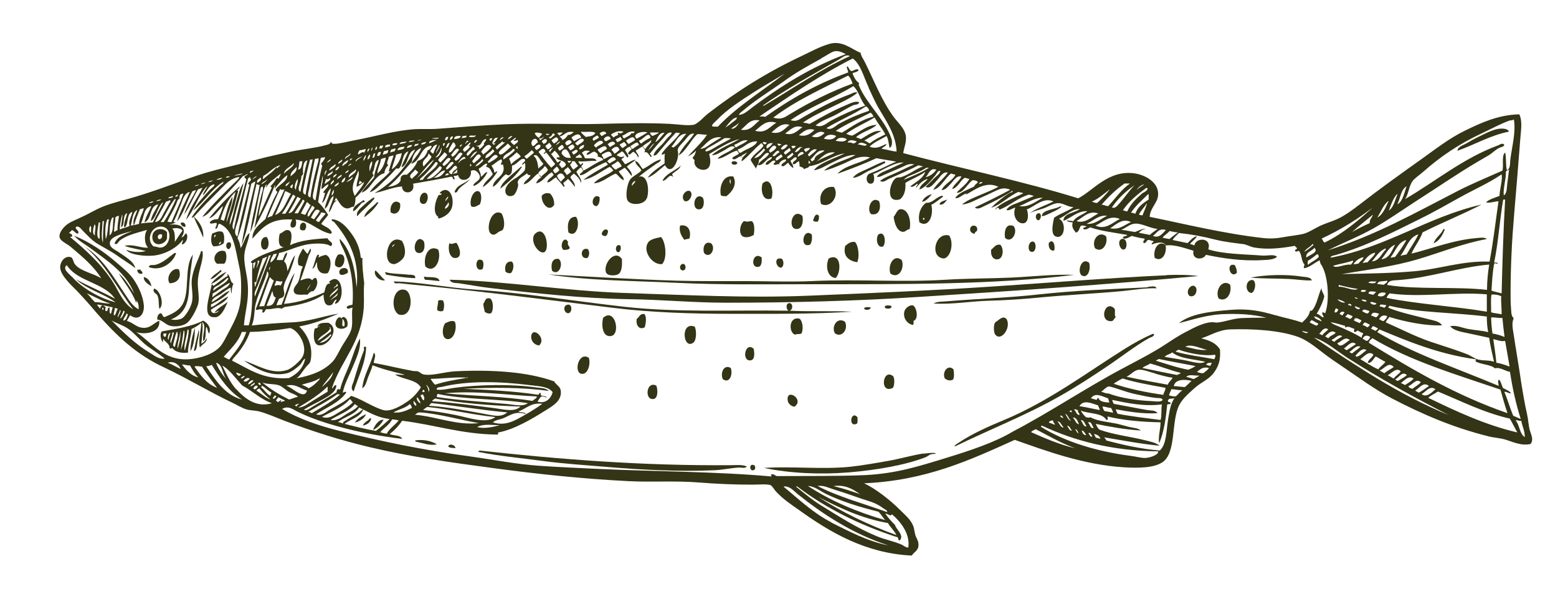 poisson2